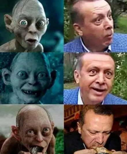 ErdoganGollum