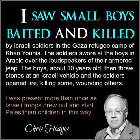 Israel Palestine Chris Hedges