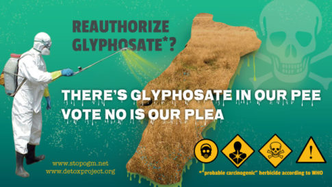 glyphosate-roundup