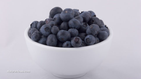 Blueberries-In-A-White-Bowl
