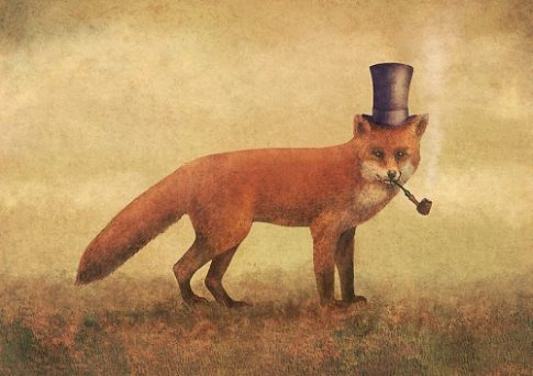 fox tophat