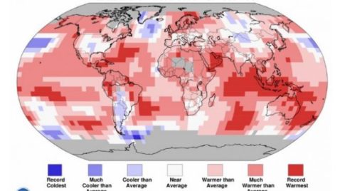 ocean-warming-not-global-warming